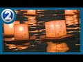 Long-time Lantern Floating Hawaii coordinator to be honored during ceremony