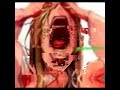 Kids Born in December 🗣️#brainrot #memes #dankmemes #slideshow #shorts #textualbeats #enrique