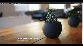 How to Install Wordpress Themes and Plugins