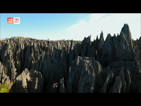 ভিডিও: Tsingy de Bemaraha National Park: The Complete Guide