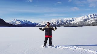 Caregivers in the Wild - New Episodes! (2023)