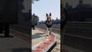 LSCSO K9 #fivem #fivemroleplay #gtaroleplay