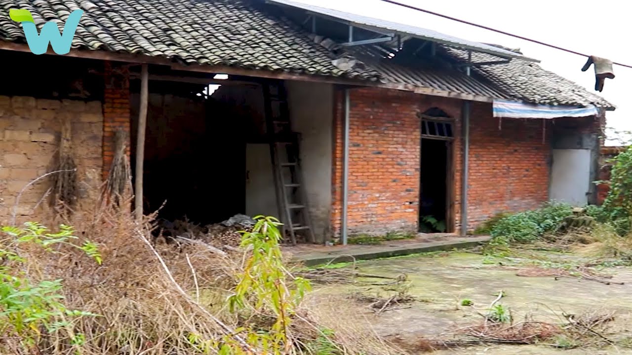 Full video : 120 days renovating old house and garden abandoned for 38