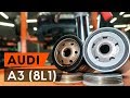 Jak wymienić filtr oleju w AUDI A3 1 (8L1) [TUTORIAL AUTODOC]
