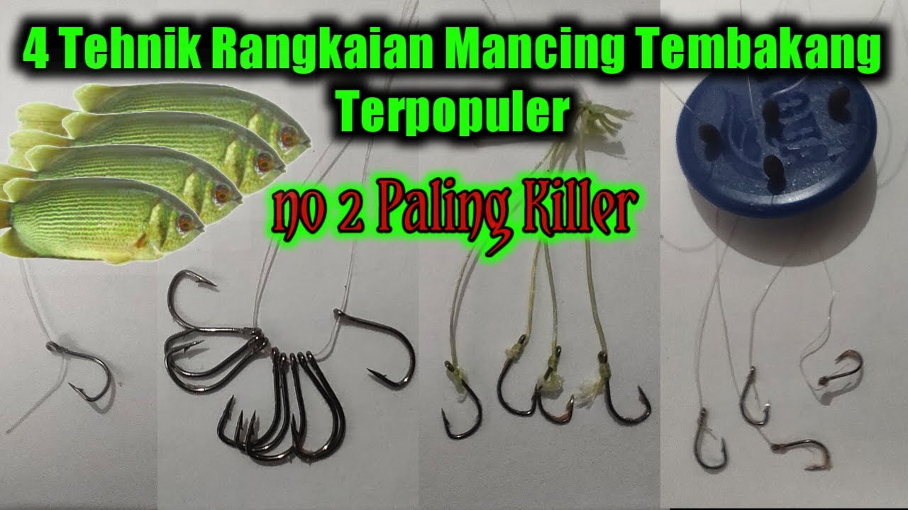 4 cara merangkai Mata Kail Mancing Ikan Tembakang paling jitu