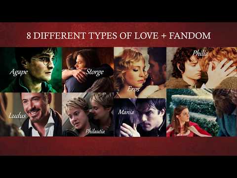 8 Types of