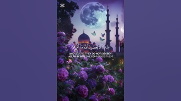 سورة التحريم {الآية 6} بصوت الشيخ ياسر الدوسري ❤️❤️