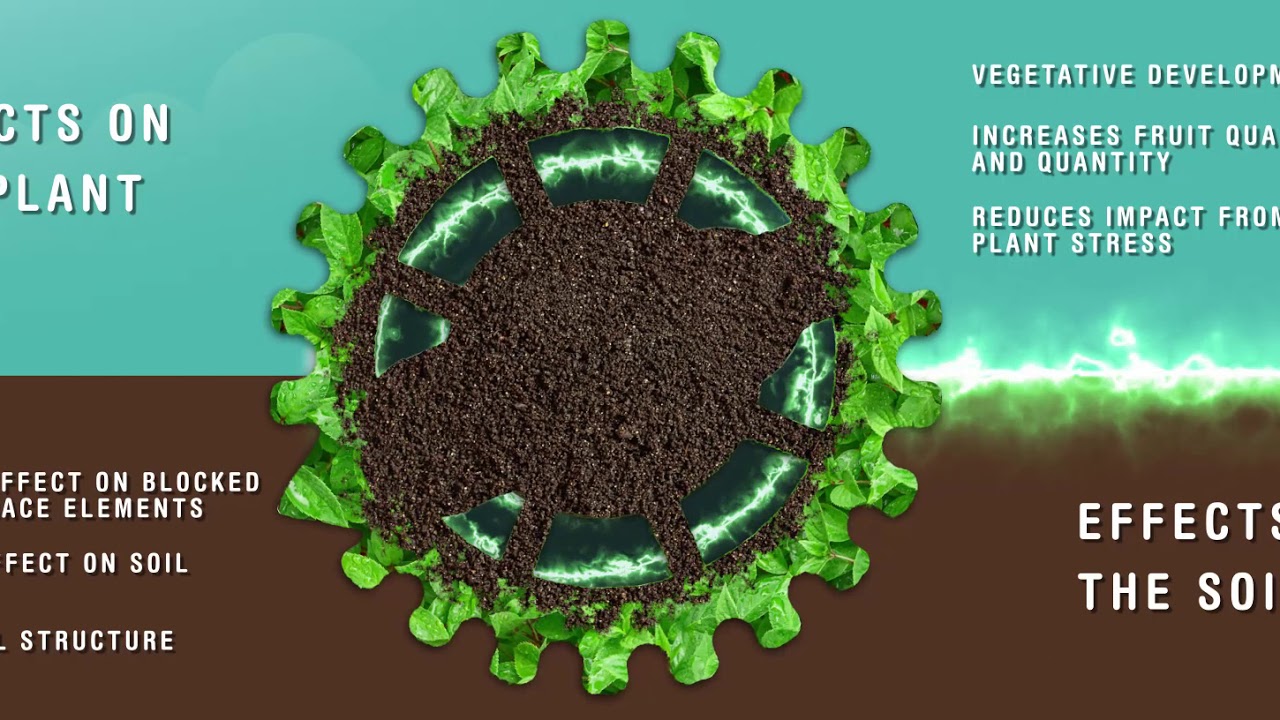 Bombardier English language Kimitec Group YouTube