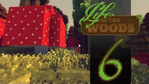 Magical Mushrooms | Life in the Woods | Modded Minecraft