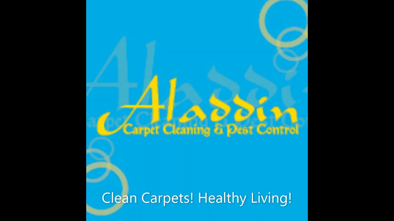 Aladdin Carpet Cleaning and Pest Control in Gladstone YouTube