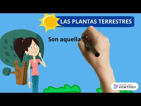 Video: ¿Qué tipo de plantas se llaman plantas terrestres?