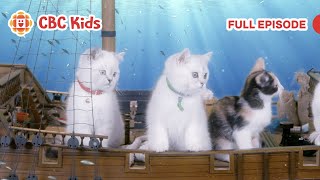 mittens pants captain mittens cbc kids