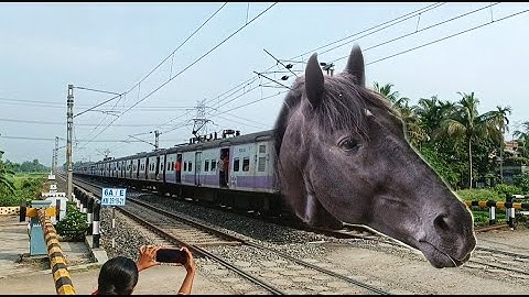 High Speed HORSE EMU Train : Dangerous & Furiously Moving Throughout Railgate