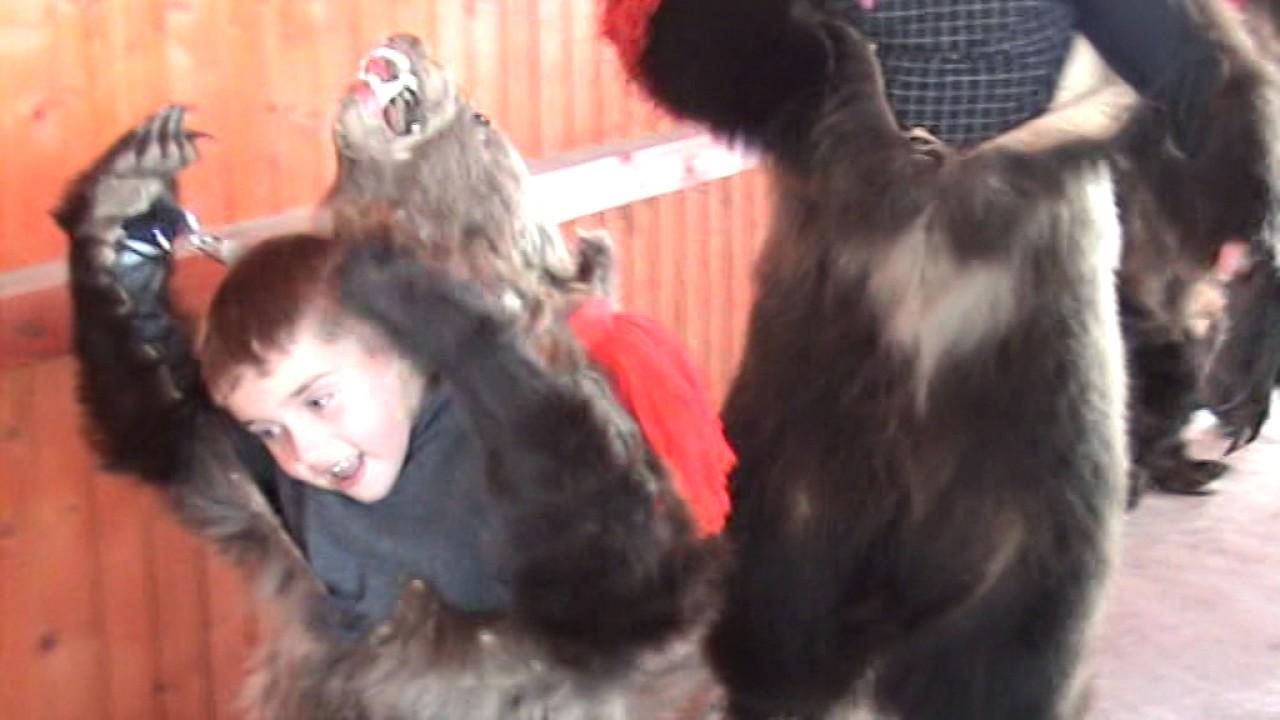 ursii dofteana seaca 2016    II