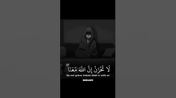 قرآن كريم بصوت عبدالرحمن مسعد || سورة التوبة || حالات واتس اب دينية