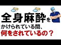 【全身麻酔をかけられている間、何をされているの？】手術の流れに沿って解説します。