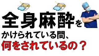 【全身麻酔をかけられている間、何をされているの？】手術の流れに沿って解説します。