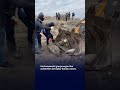 Hundreds of Endangered Seals Found Dead on Russia’s Caspian Coast