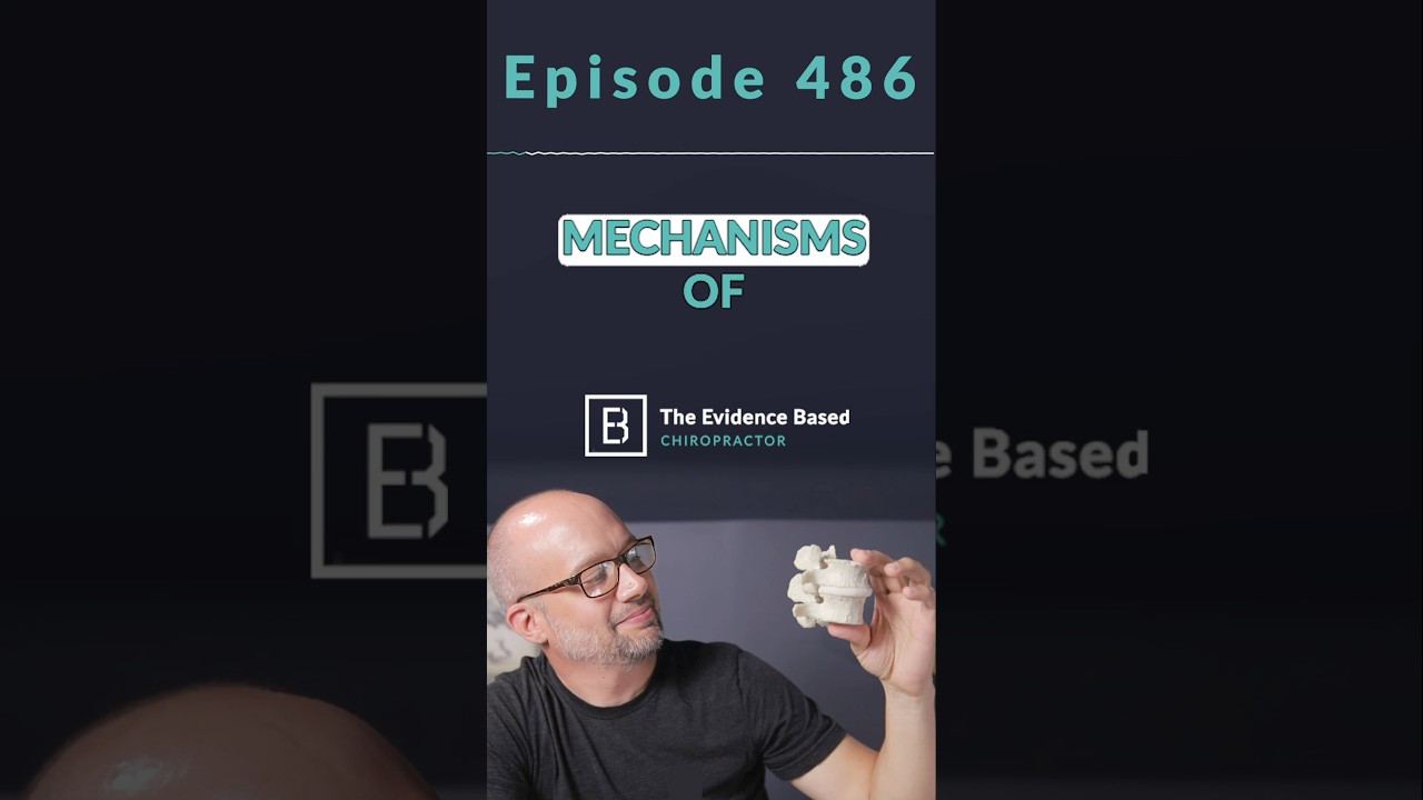 Manual Therapy Isn’t Just Biomechanics… It’s SO Much More