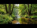 Serene River Water 🌿 Gentle Flowing Ambience for Sleep, Calm, and Meditation #675