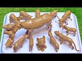 The Wild Journey: Brave African Farm Animals and Rainforest Predators