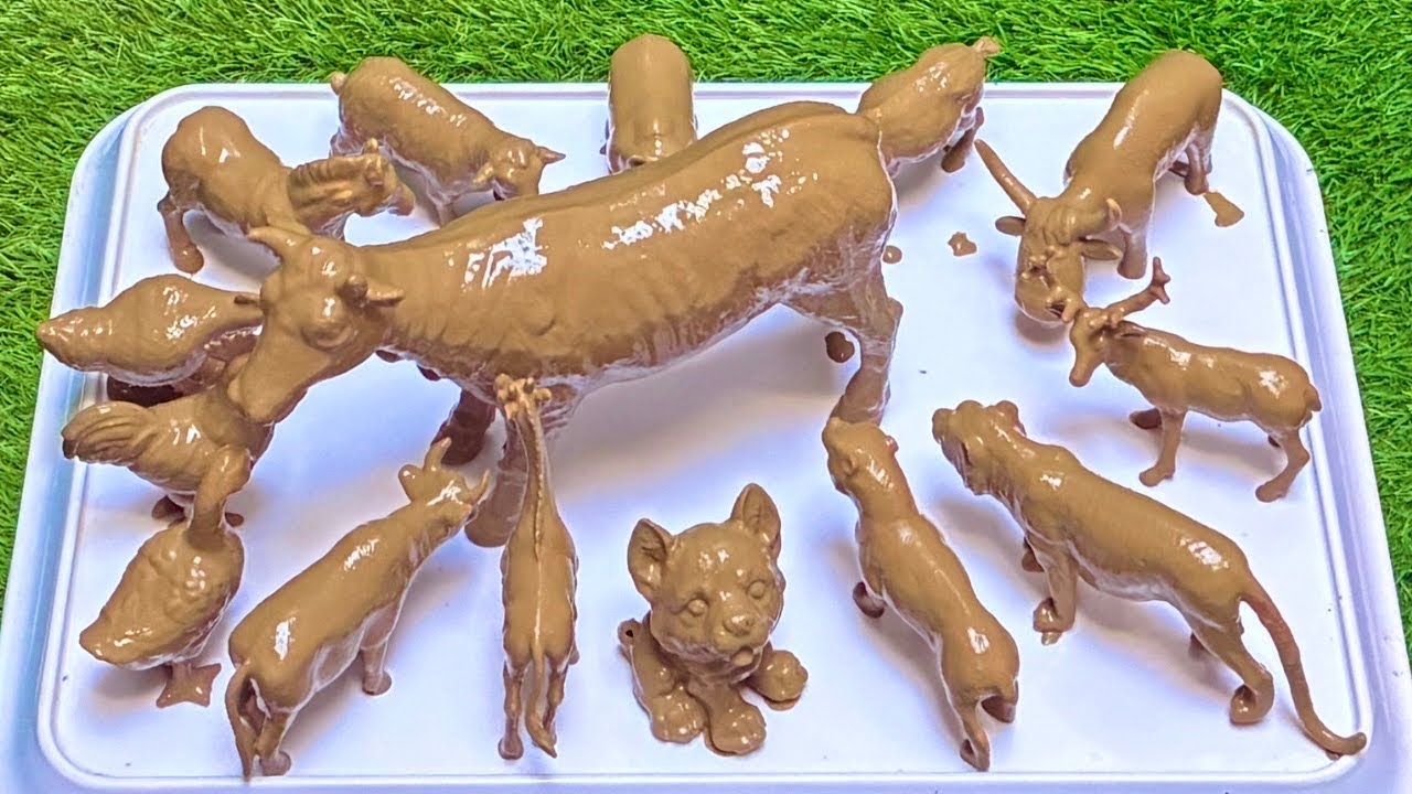 The Wild Journey: Brave African Farm Animals and Rainforest Predators