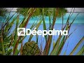 Holter & Mogyoro - Summer Vibes [Déepalma Records]