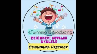 Cebimdeki Notalar Ukulele (ETwinning Ne Demek?) Resimi