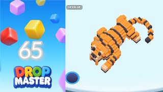 Puzzle Drop Master – Level 65: Outsmart the Physics #puzzledropmaster #dropmaster 