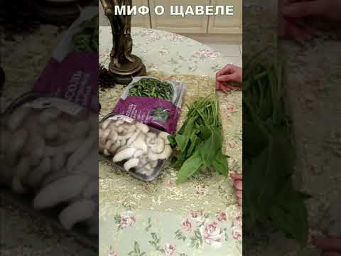Щавель ВРЕДЕН лишь в таком случае #shorts