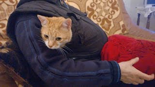 This Cat Knows Just How to Stay Warm