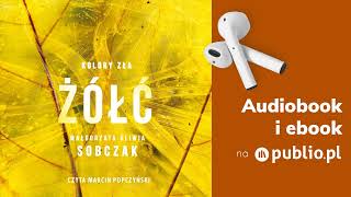 Kolory Za  Magorzata Oliwia Sobczak Book Pl krymina