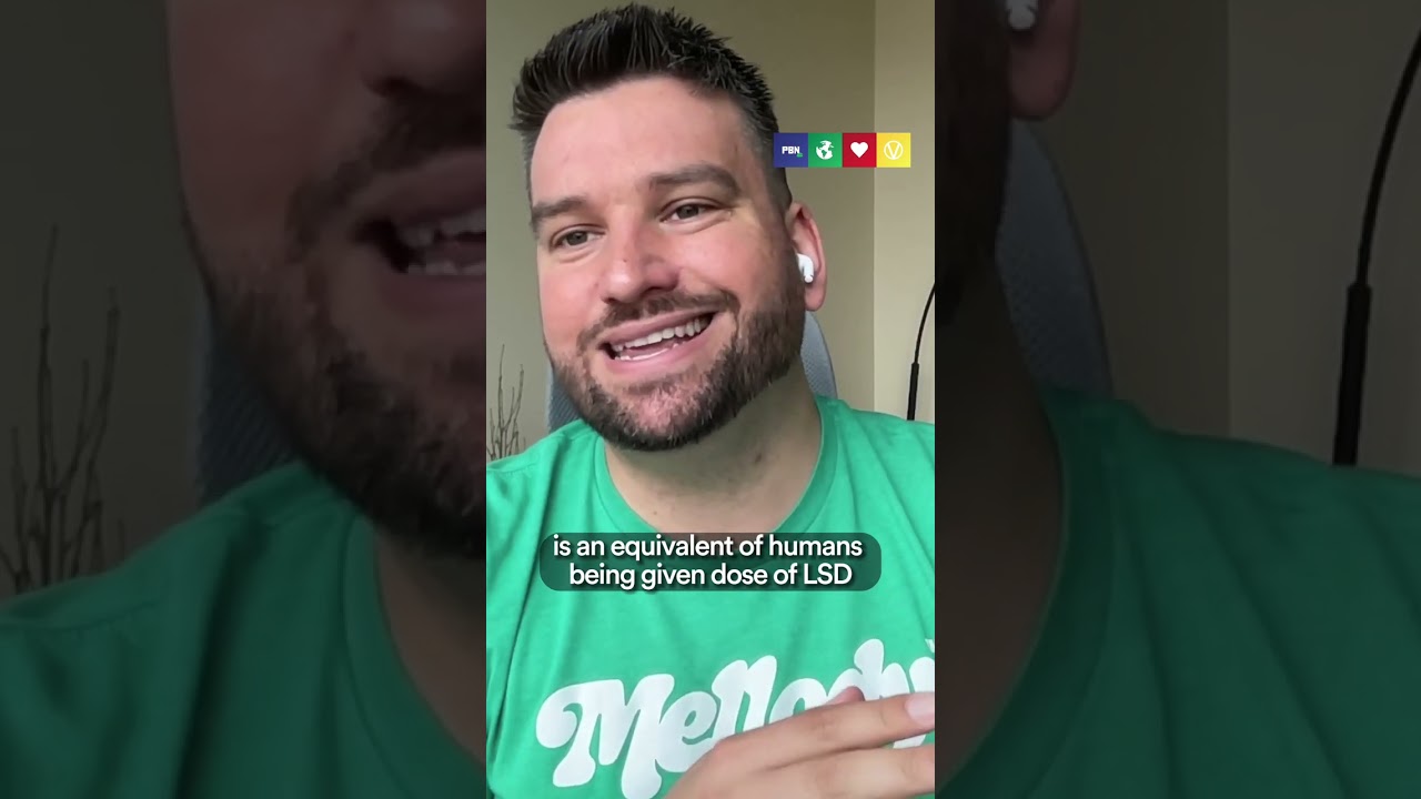 Is The Honey Industry Cruel?