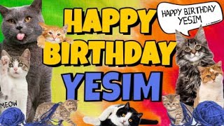 Happy Birthday Yesim! Crazy Cats Say Happy Birthday Yesim (Very Funny) Resimi