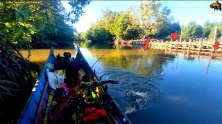 Fishing where estuary predators live... fishing