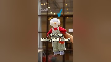 Cánh cụt không phải chim? - câu chuyện khoa học cùng thú bông vải Tiệm Tạp Hóa Nhà May