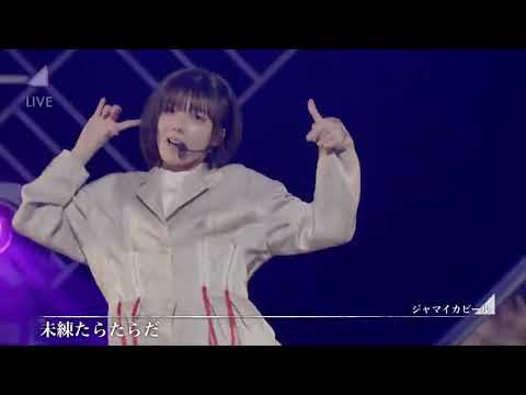 櫻坂46　ライブ　ジャマイカビール　live