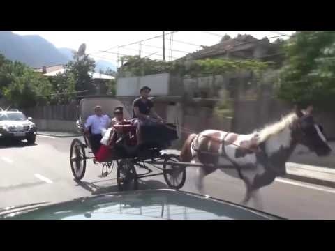 ქორწილში ფაეტონით ''გონკაობა'' წარუმატებლად დასრულდა