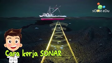 IPA FISIKA : gelombang sonar dan cara kerja
