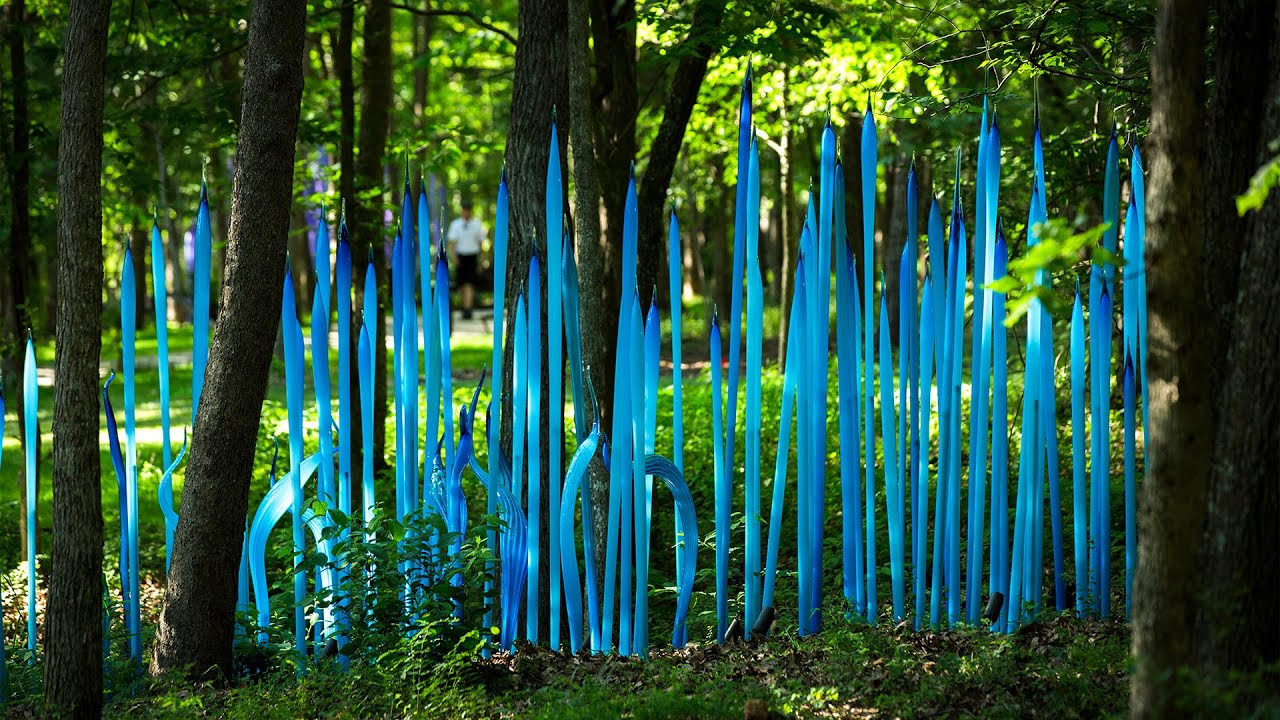 A Look Back: Chihuly at Crystal Bridges Museum of American Art