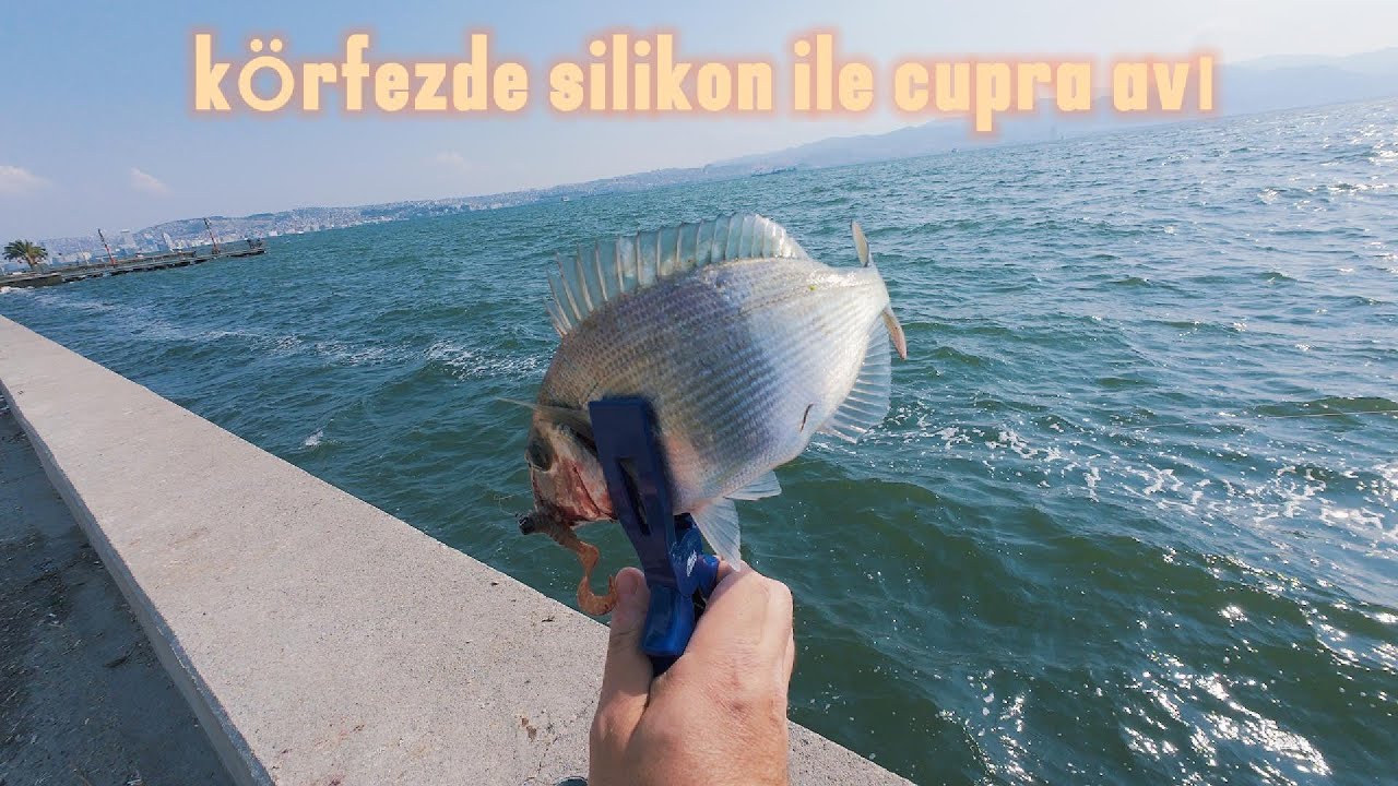 ÇUPRA AVINA YENİ YÖNTEM İZMİR KÖRFEZ