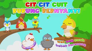 Cicit Cicit Cuit burung bernyanyi Cit cit cuit bebek berenang