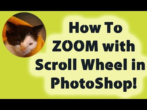 Como de zoom com o Scroll Wheel no Photoshop!