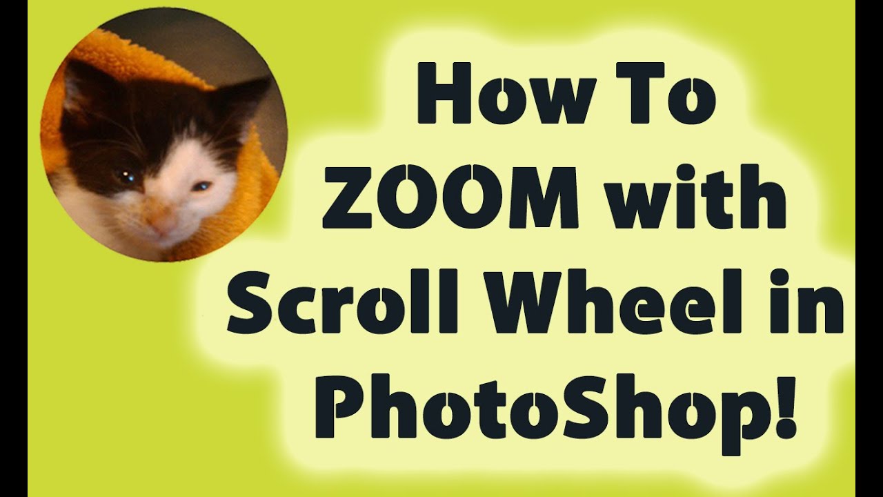 How To ZOOM with Your Scroll Wheel in YouTube