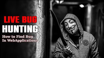 How to Find Bugs on ANY Website: A Beginner