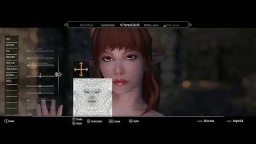 Ultra Modded Skyrim - Mod Feature: Enhanced Character Edit