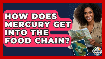 How Does Mercury Get Into The Food Chain? - The Geography Atlas