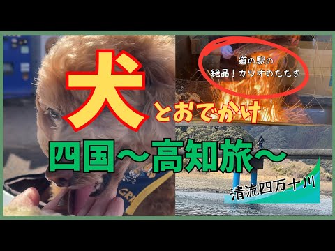 【ワンコとお出かけ】四国の高知県へ車中泊旅へ行きました