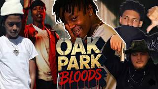 Oak Park Bloods vs Oak Park Bloods: Sacramento’s Deadliest Gang