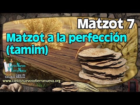 Matzot 7 Matzot a la perfección (tamim)